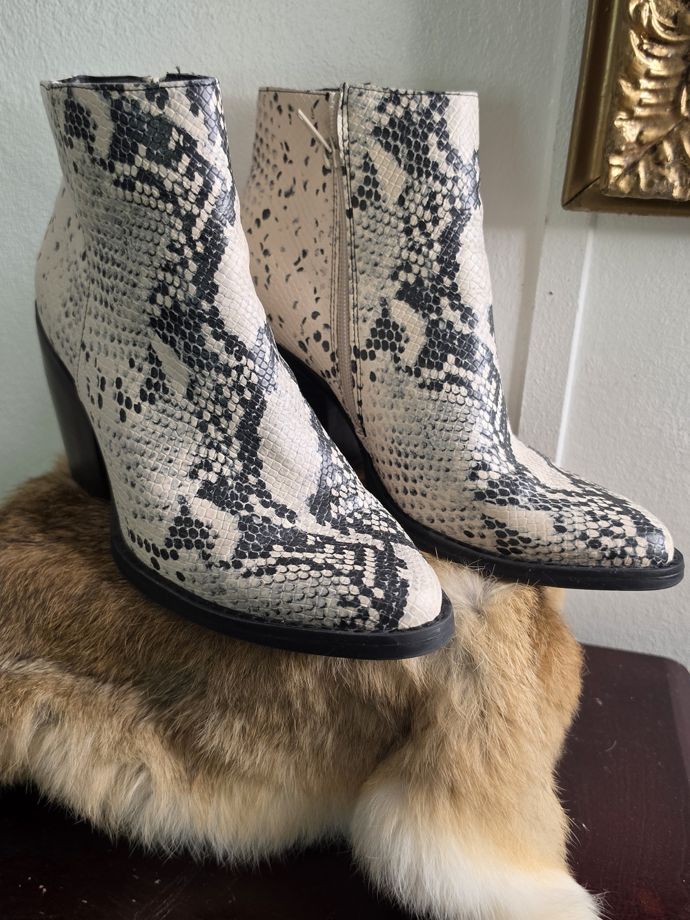 Madden Girl Black and Cream Snake-Print Ankle Booties